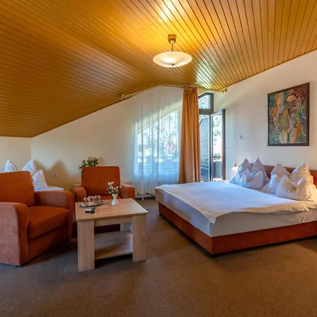Hotel Molnar-2
